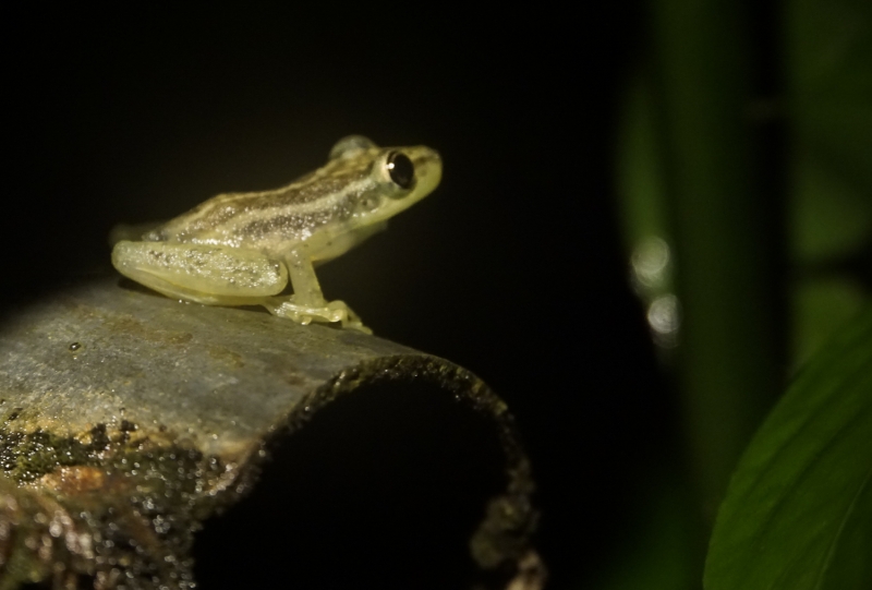 Ecuador -9153