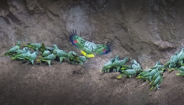 Ecuador -9206-Edit