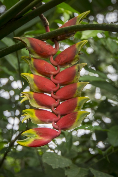 Ecuador -9379