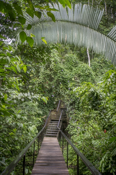 Ecuador -9623