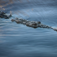 florida-0714_hdr