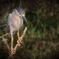 florida-0849_hdr-edit