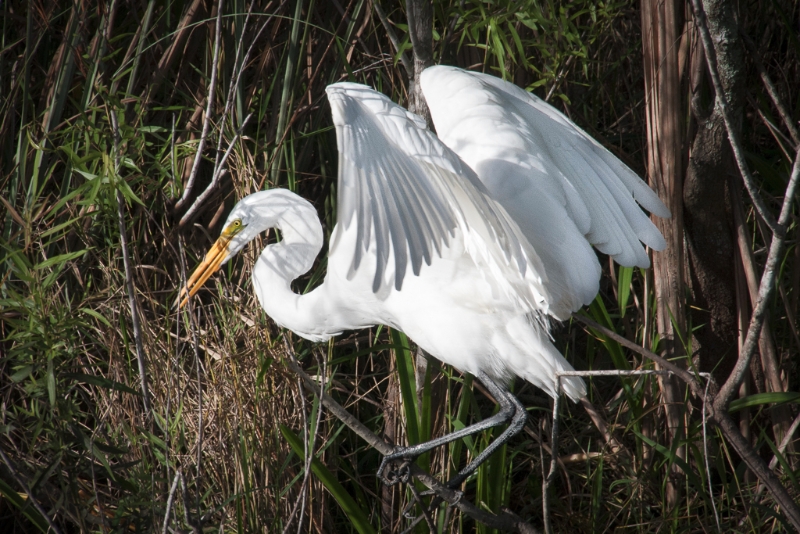 florida-0265-edit