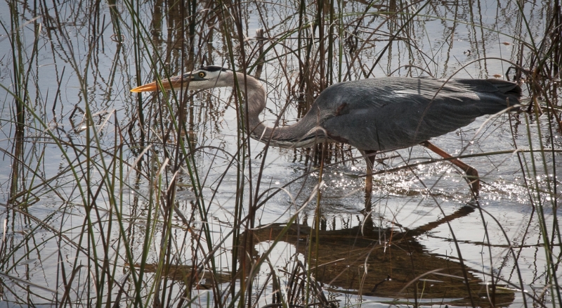 florida-0306