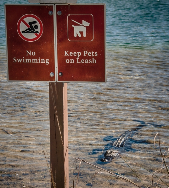 florida-0462_hdr