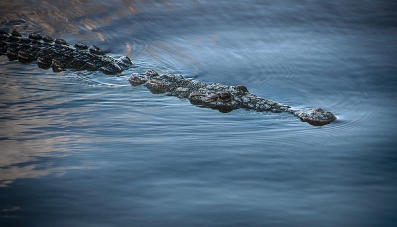 florida-0714_hdr