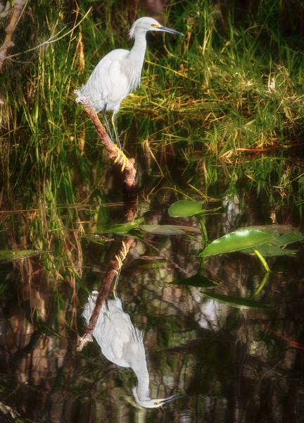 florida-0834_hdr-edit