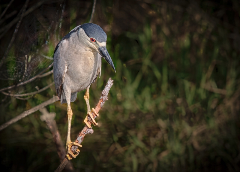 florida-0849_hdr-edit
