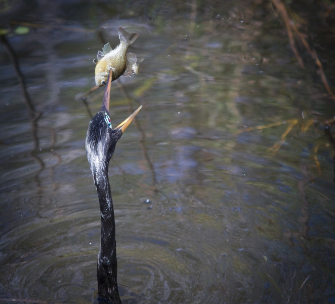 untitled-5195-edit