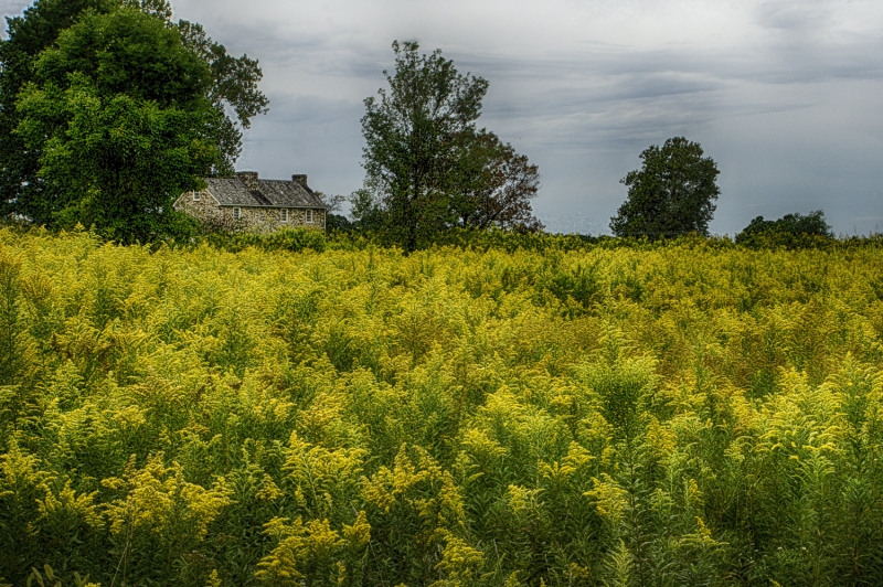 Brightside-7514_HDR-2125