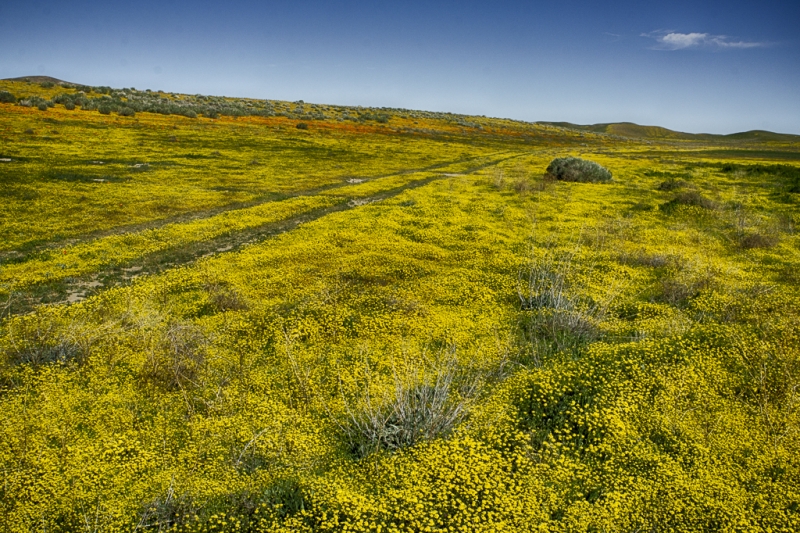 California 3-8874_HDR