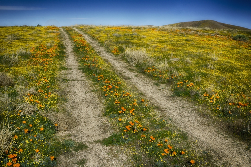 California 3-8907_HDR-Edit