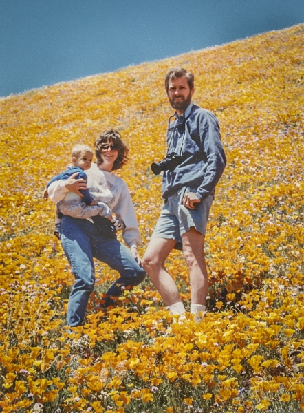 California Poppies