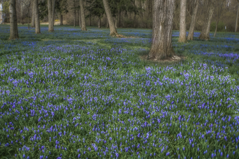 Lock Ridge Park-0372-Edit