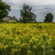 Brightside-7514_HDR-2125