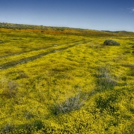 California 3-8874_HDR