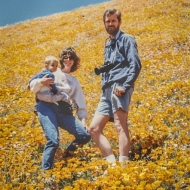 California Poppies