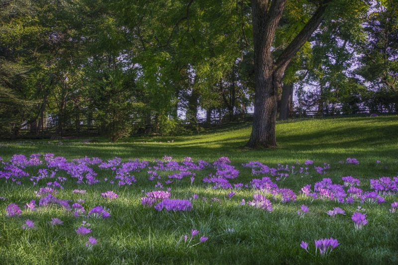 untitled-6527_HDR-Edit