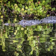 florida-0190_hdr