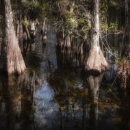 florida-1420_hdr-edit