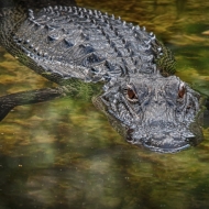 florida-1505_hdr