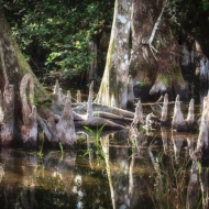 florida-1581_hdr-edit