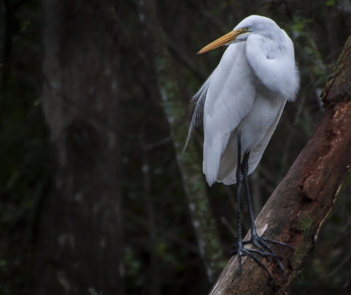florida-0052-edit