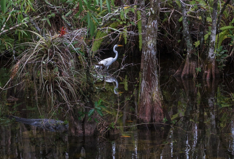 florida-0155