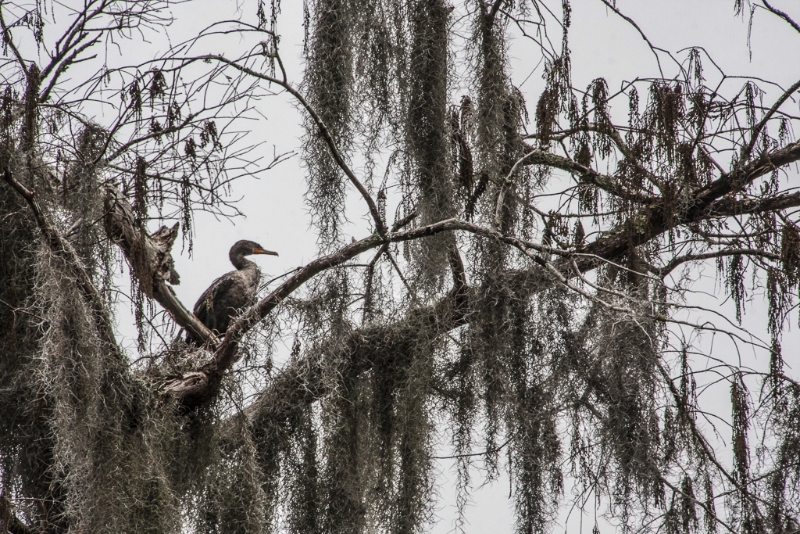florida-0200-edit