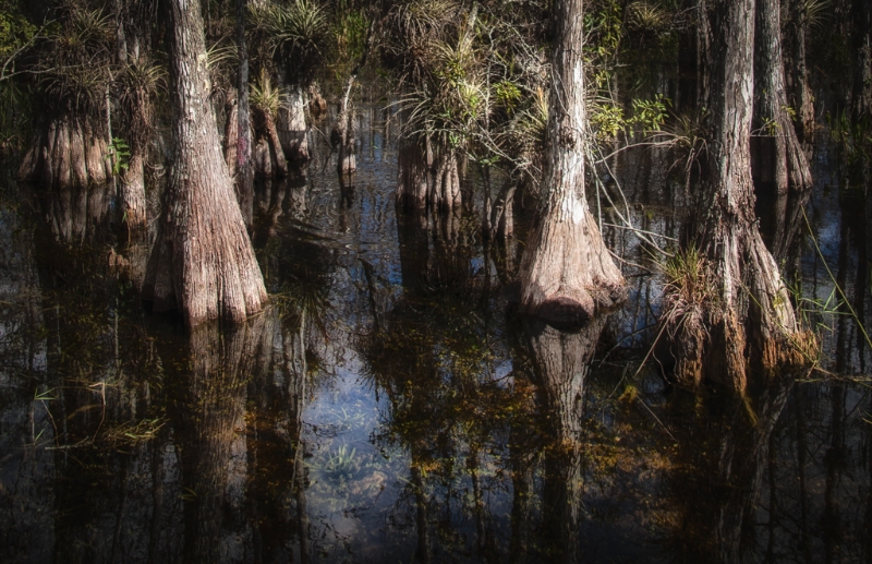 florida-1420_hdr-edit