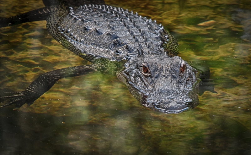 florida-1505_hdr