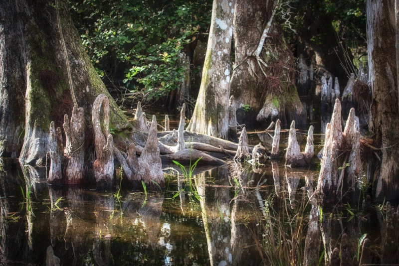 florida-1581_hdr-edit