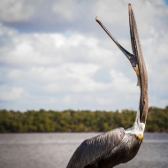 florida-0014