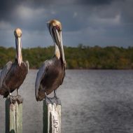 florida-0027_hdr_1