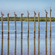 florida-9963_hdr