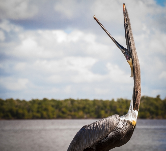 florida-0014