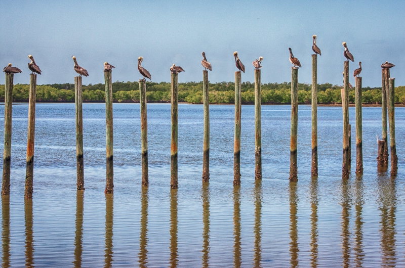 florida-9963_hdr