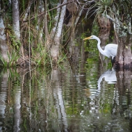 florida-0105_hdr