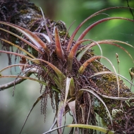 florida-1663_hdr