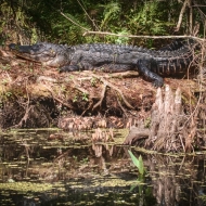 florida-1757_hdr