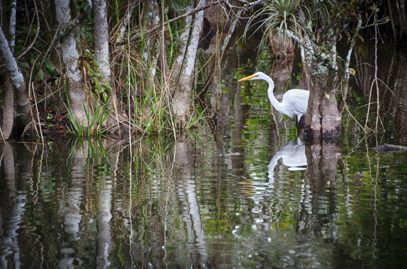 florida-0105_hdr