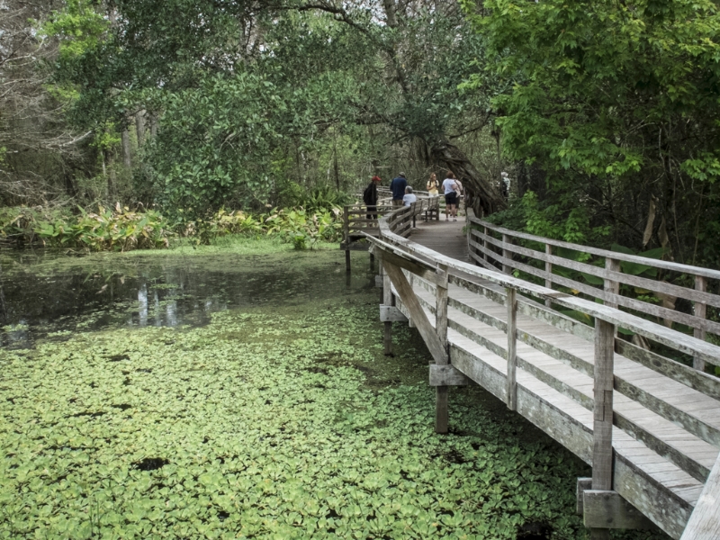 florida-0814