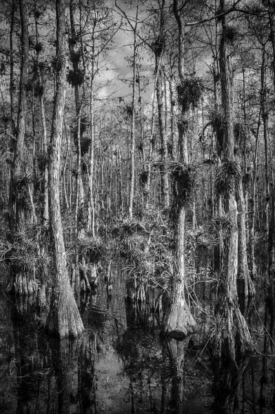 florida-1420_hdr