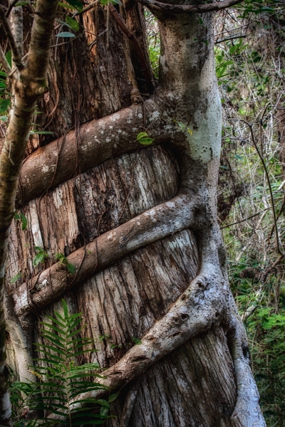 florida-1587_hdr-edit