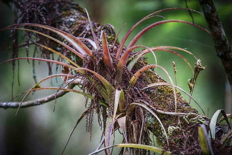 florida-1663_hdr