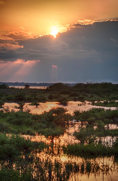 florida-2649_hdr