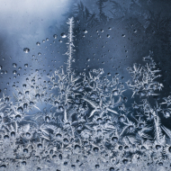 untitled-4240-Edit-4