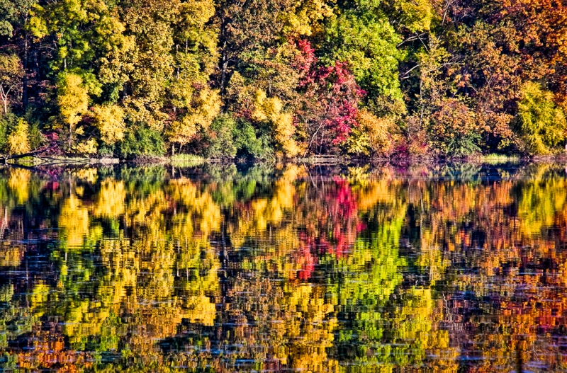 Giffofrd Pinchot-0141-Edit
