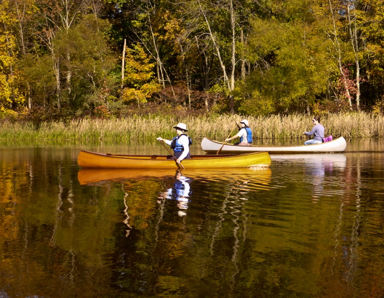 Giffofrd Pinchot-1010932