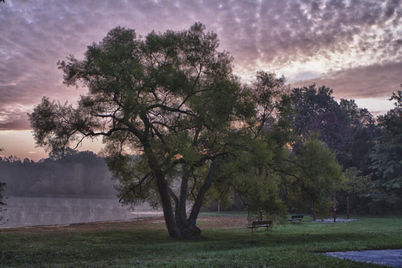 Gifford Pinchot-5233_HDR